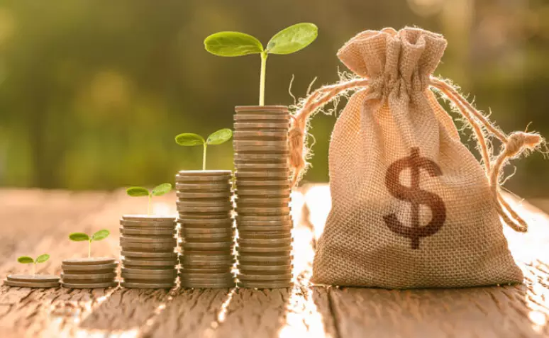 Investimentos para iniciantes: aprenda com os erros mais comuns e tenha sucesso